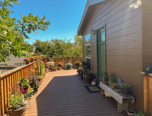 Why Backyard Cottages Are Gaining Popularity Among Homeowners