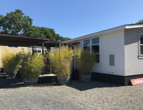 Why Backyard Living Is Reshaping Long-Term Housing Plans