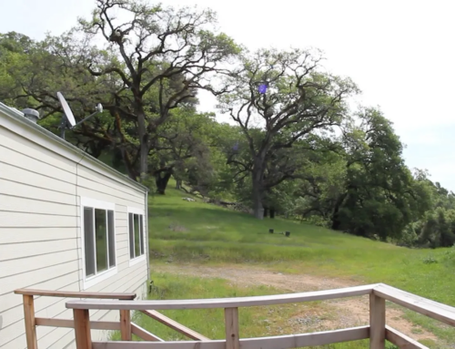 Care-Oriented Backyard Living Units for Family Support Needs