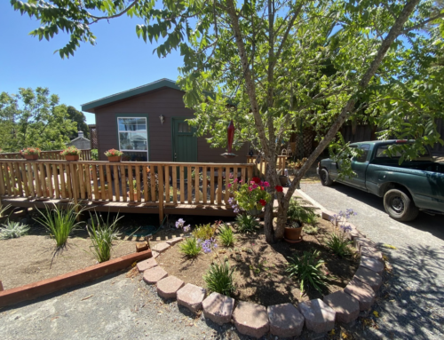 What Modern Buyers Look for in Manufactured Home Designs Today