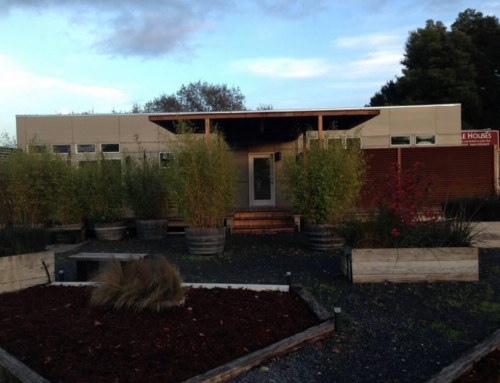 Planning Functional Backyard Guest Homes for Modern Families in Sonoma County