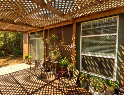 Turning Rental Potential into Reality with Backyard Living Spaces in Sonoma County